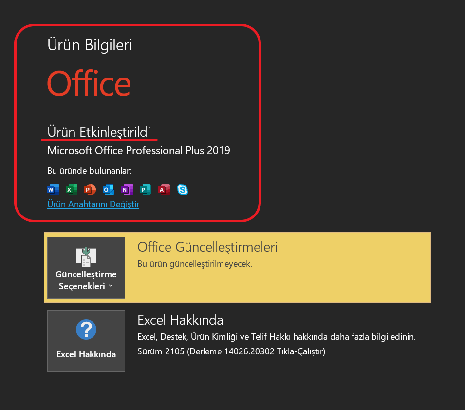 Office 2019 programının etkinleştirme kontolü